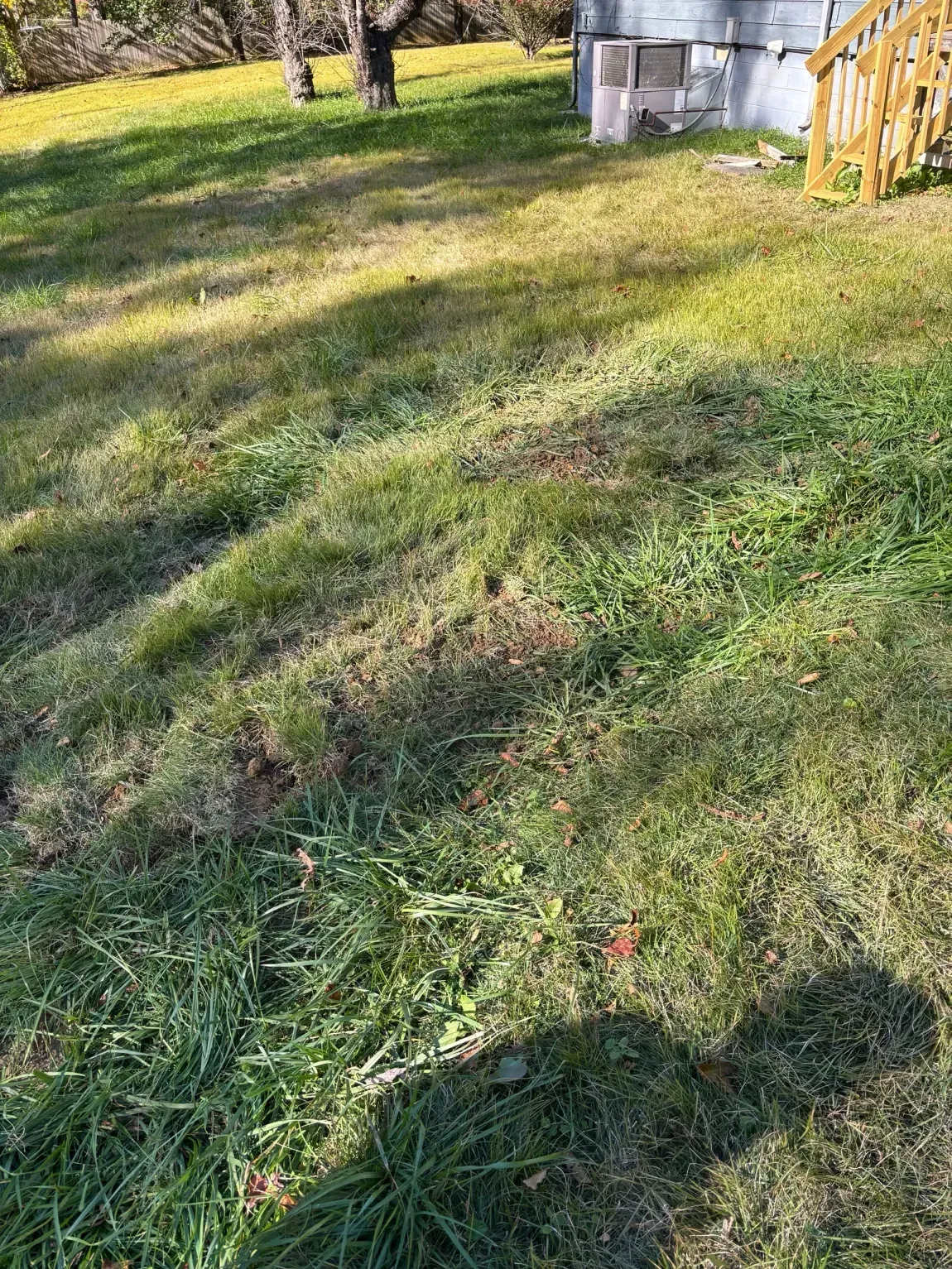 Sunlit grassy yard with a small dirt patch, trees, and a shed near a wooden fence