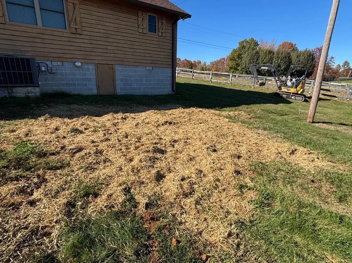 Backyard with a large patch of dried grass beside a brick house and utility pole under clear skies