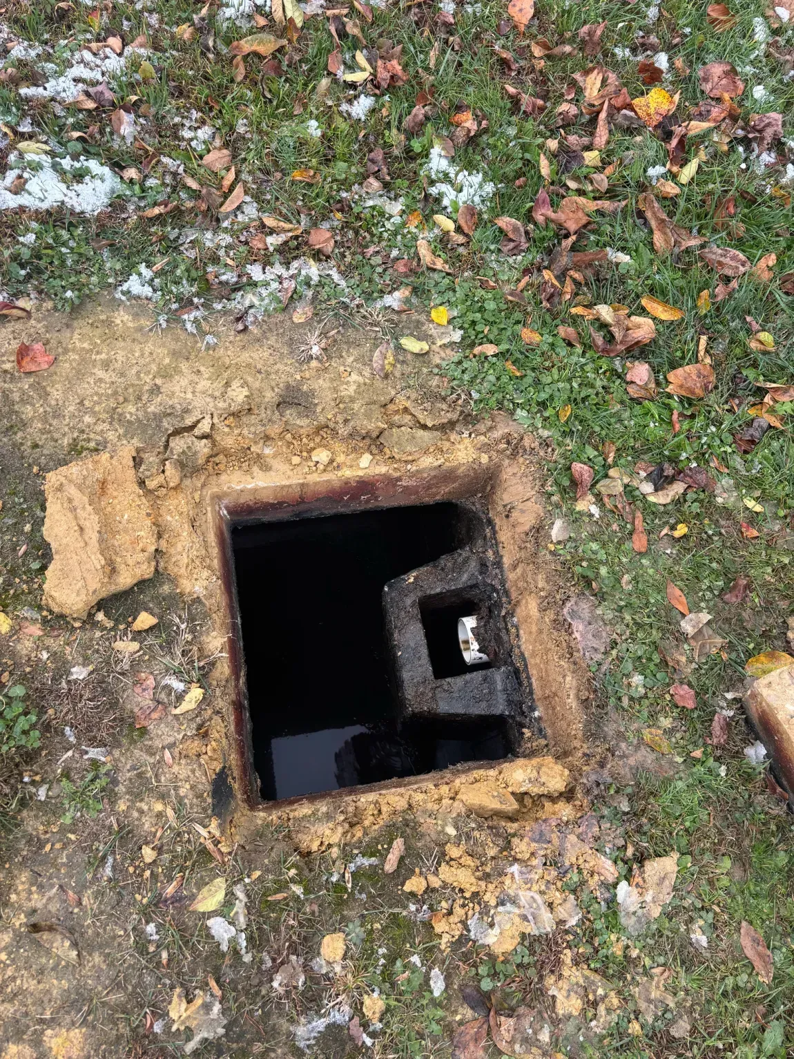 Open rectangular ground hole with dark interior, surrounded by grass, dirt, and fallen leaves.