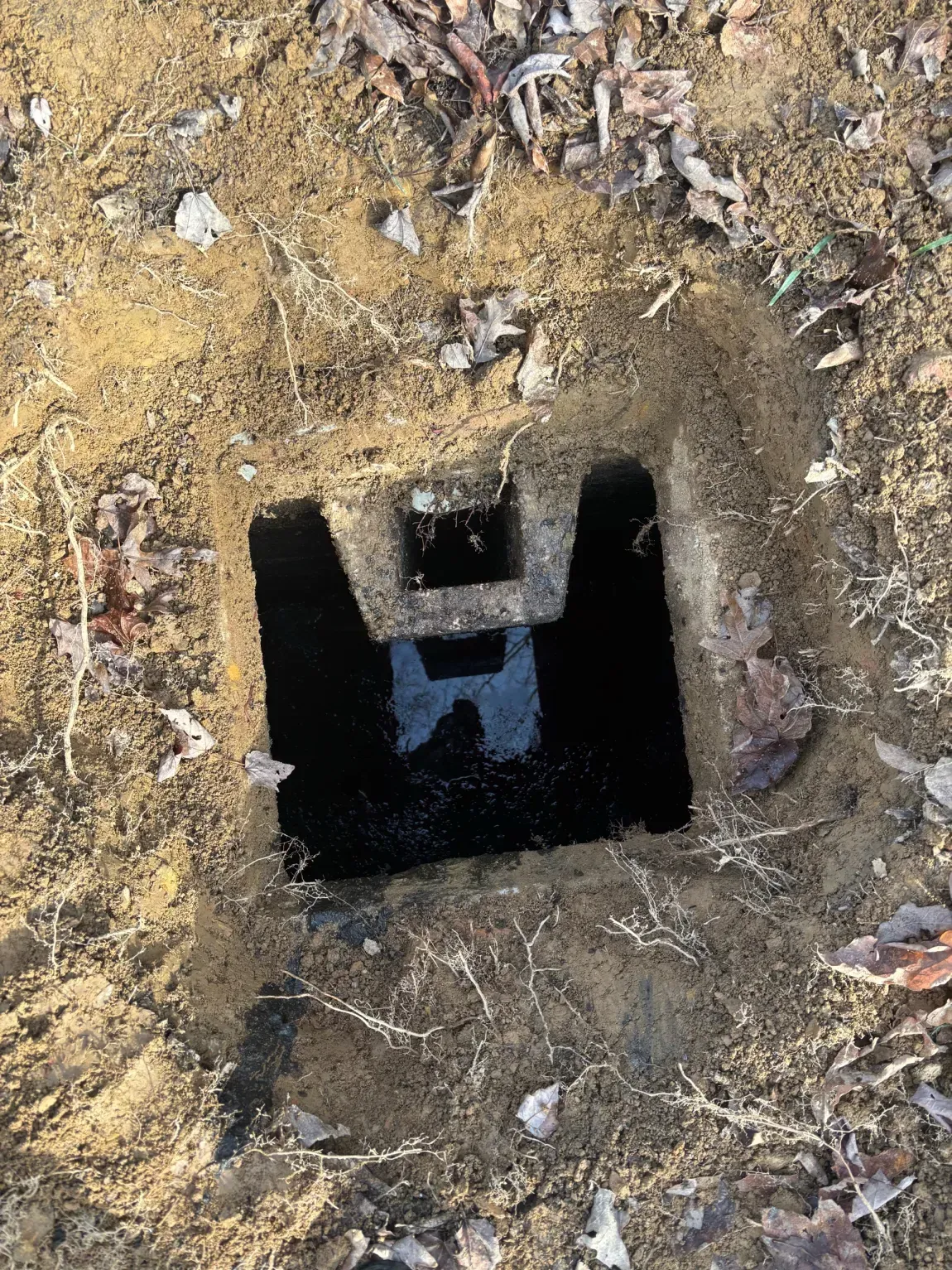 Black square drain opening set into dirt and dried leaves outdoors.