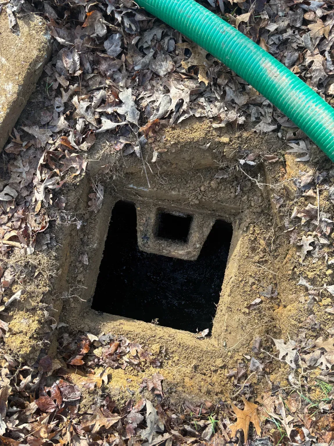 Small square drainage opening in dirt and leaves with a green hose along the top edge