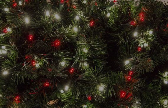 Close-up of a Christmas tree with red and white lights.