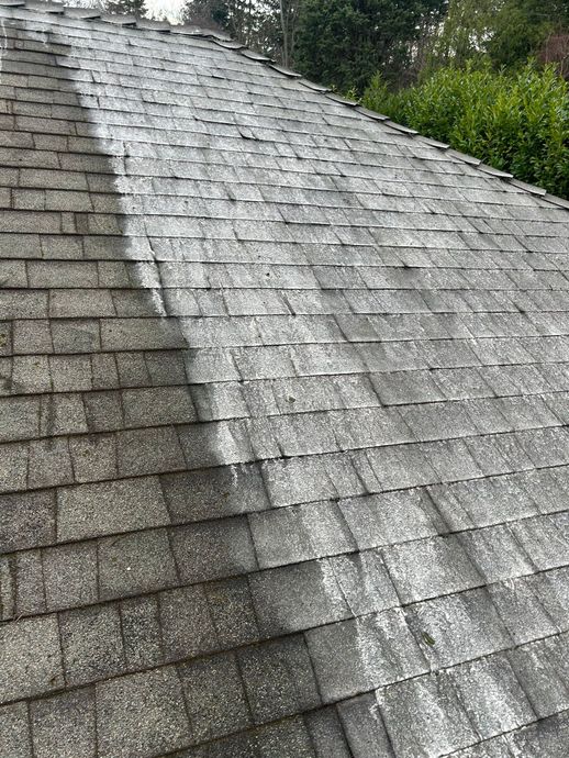 Roof half way sprayed illustrating a white foam from solution application to deter moss from growing