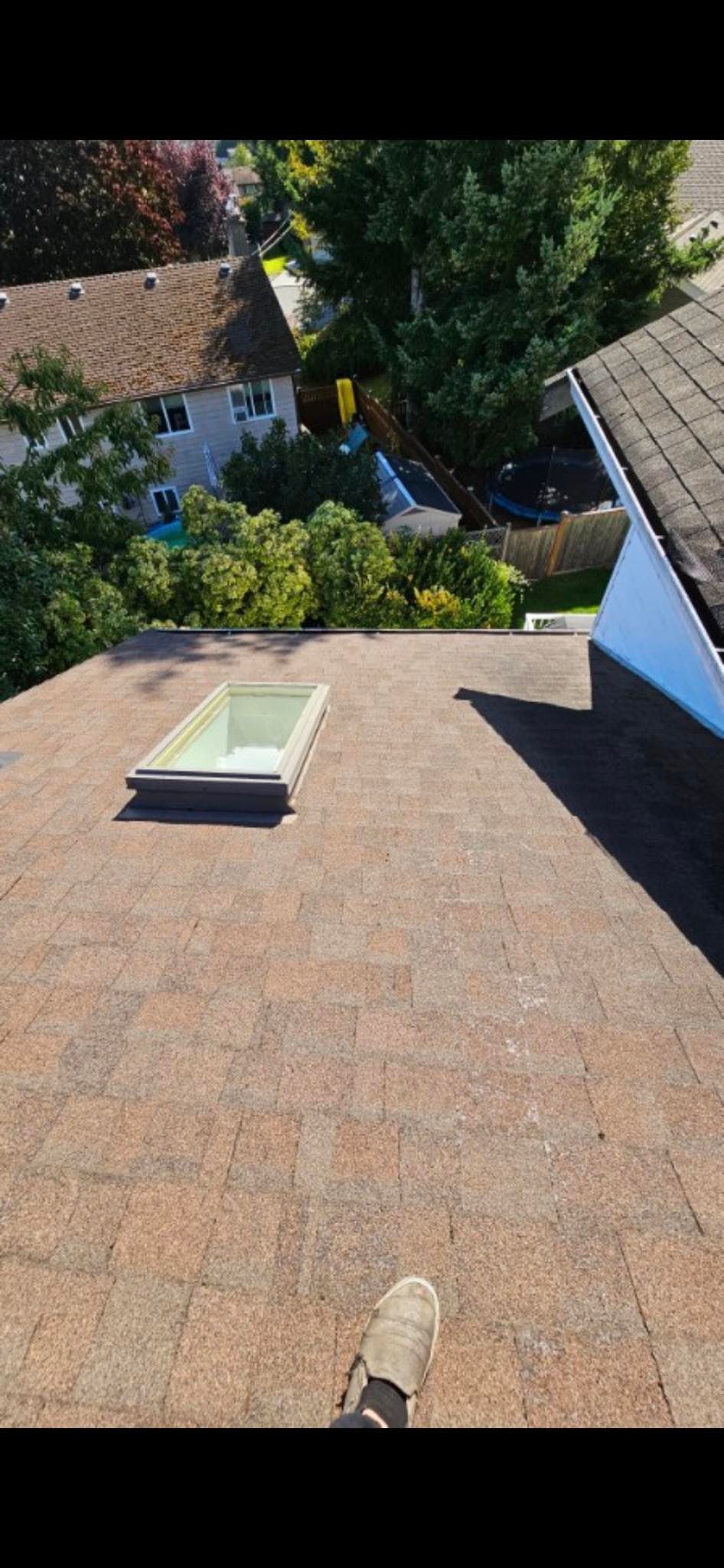 after photo of moss above. Photo was taken at a great time of day because the sun was shining and makes the roof look even better