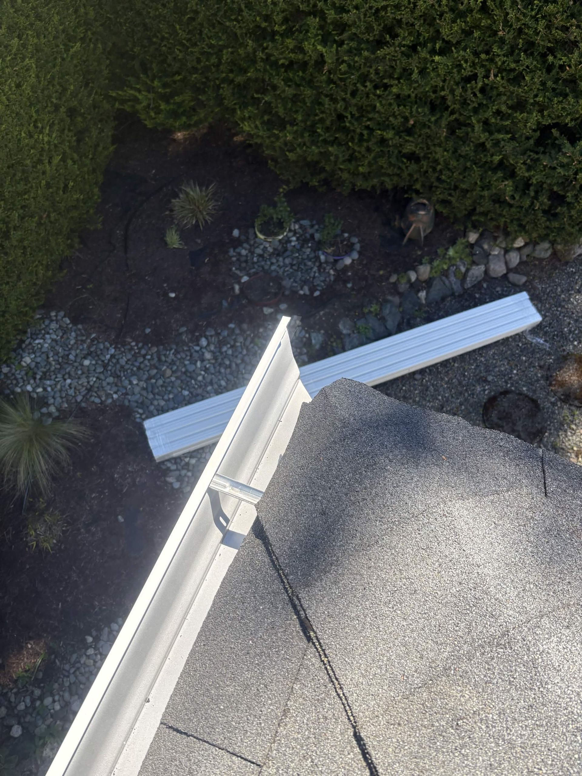 Roof edge above a white gutter and gravel path beside hedges and dark mulch