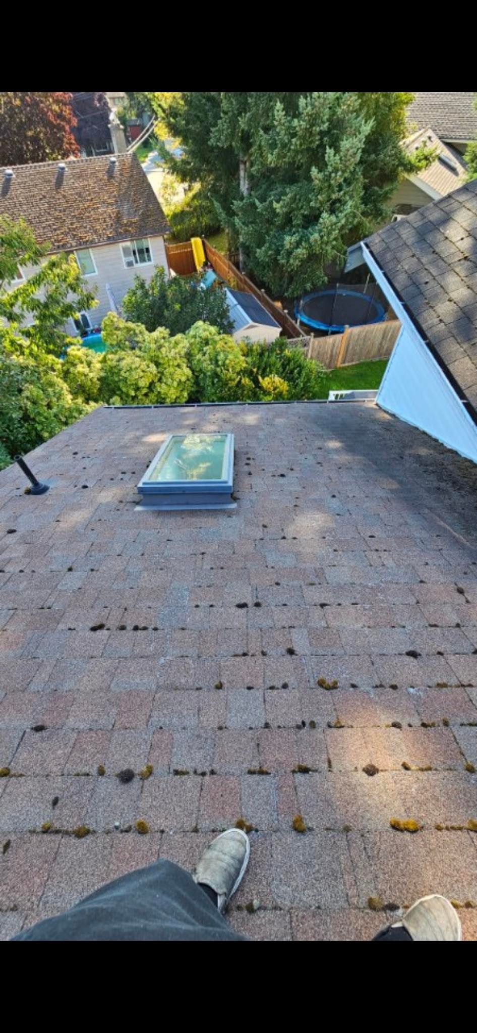 roof with a bit of moss, roof looks shady and dirty