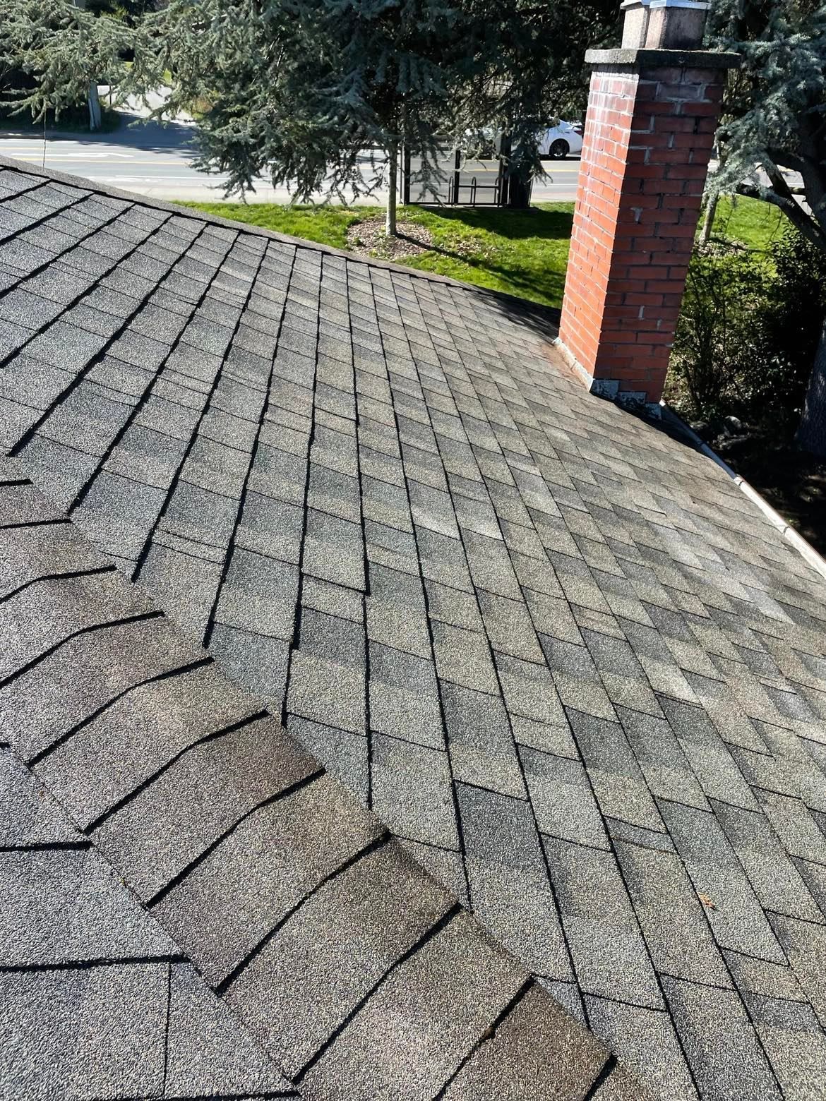 Simply a photo of one of the many roofs we've cleaned