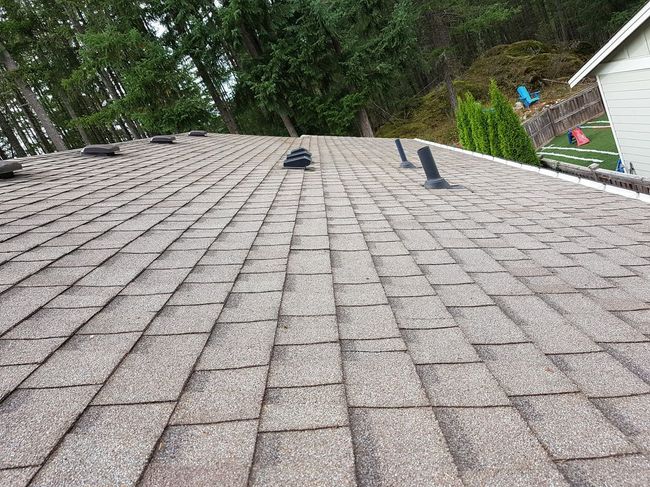 photo of a roof we demossed in sooke
