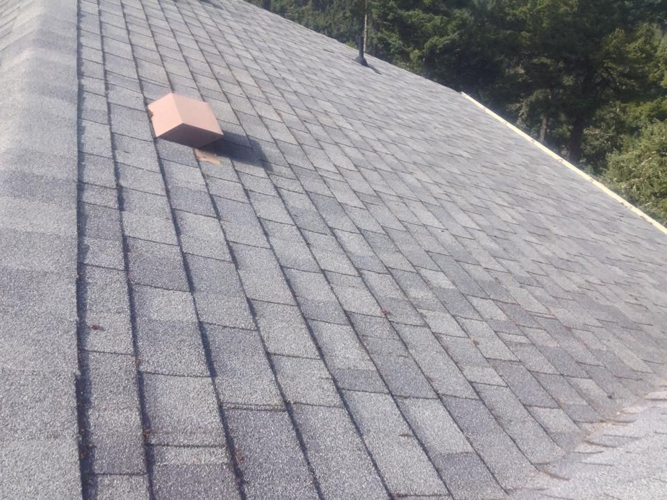 Moss Removal Victoria Roof Cleaning Company