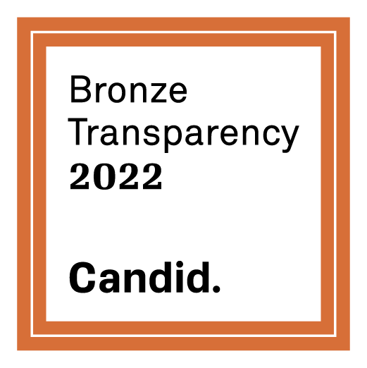 Bronze Transparency 2022. Candid.