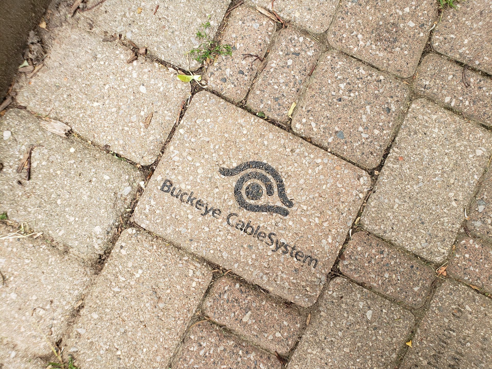 Brick paver with the Buckeye CableSystem logo.