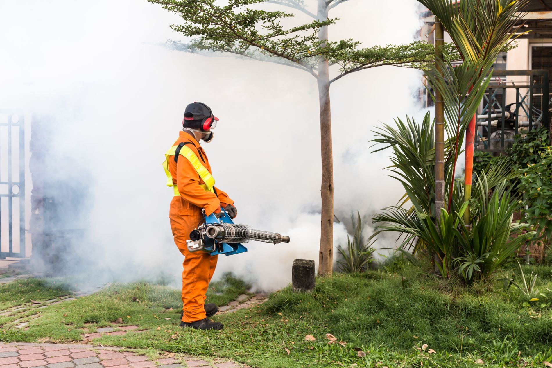 Pillow Termite & Pest Control