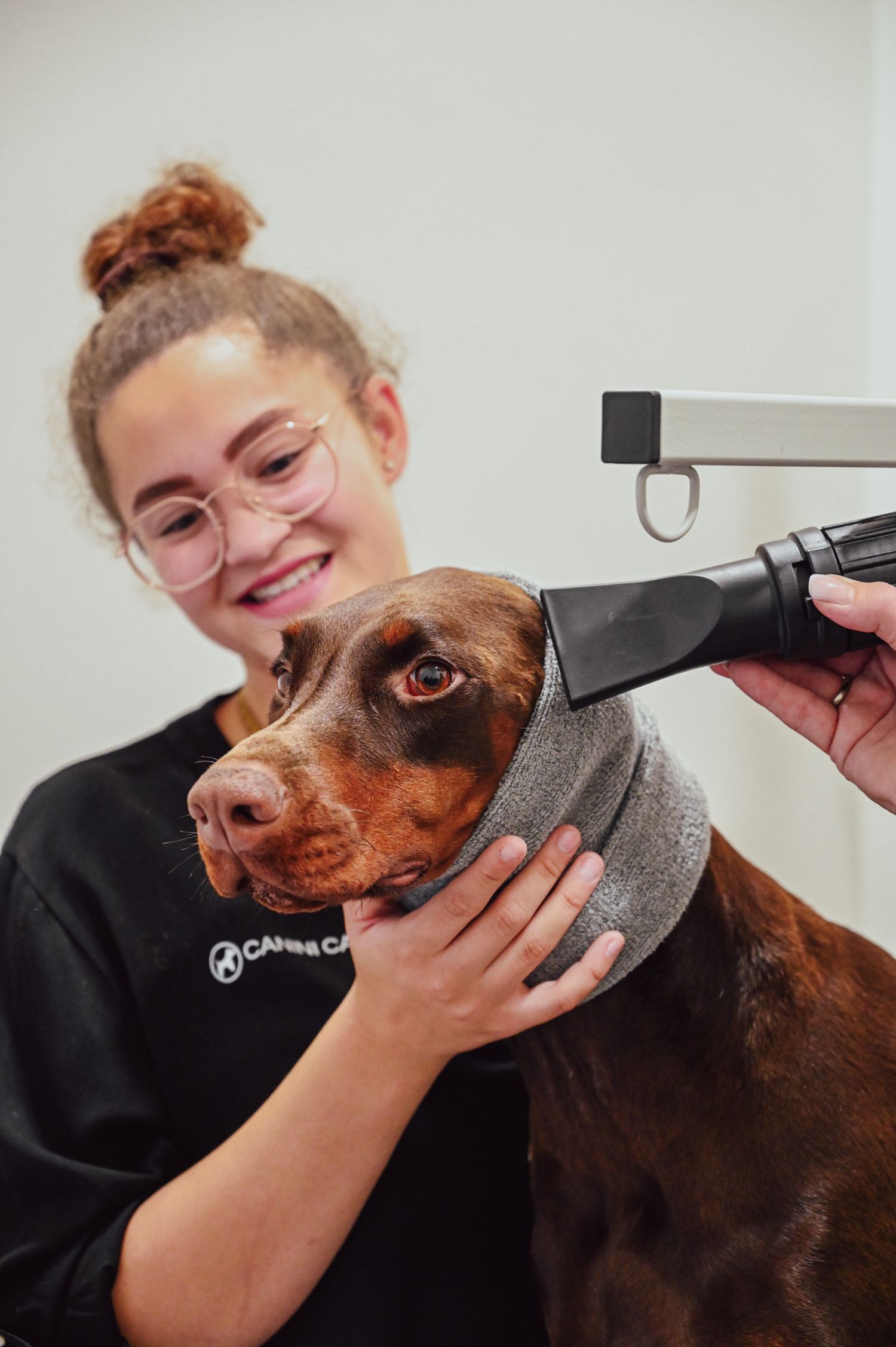 Eine Frau trimmt in einem hellen Salon das Fell eines braunen Hundes mit einer Schermaschine