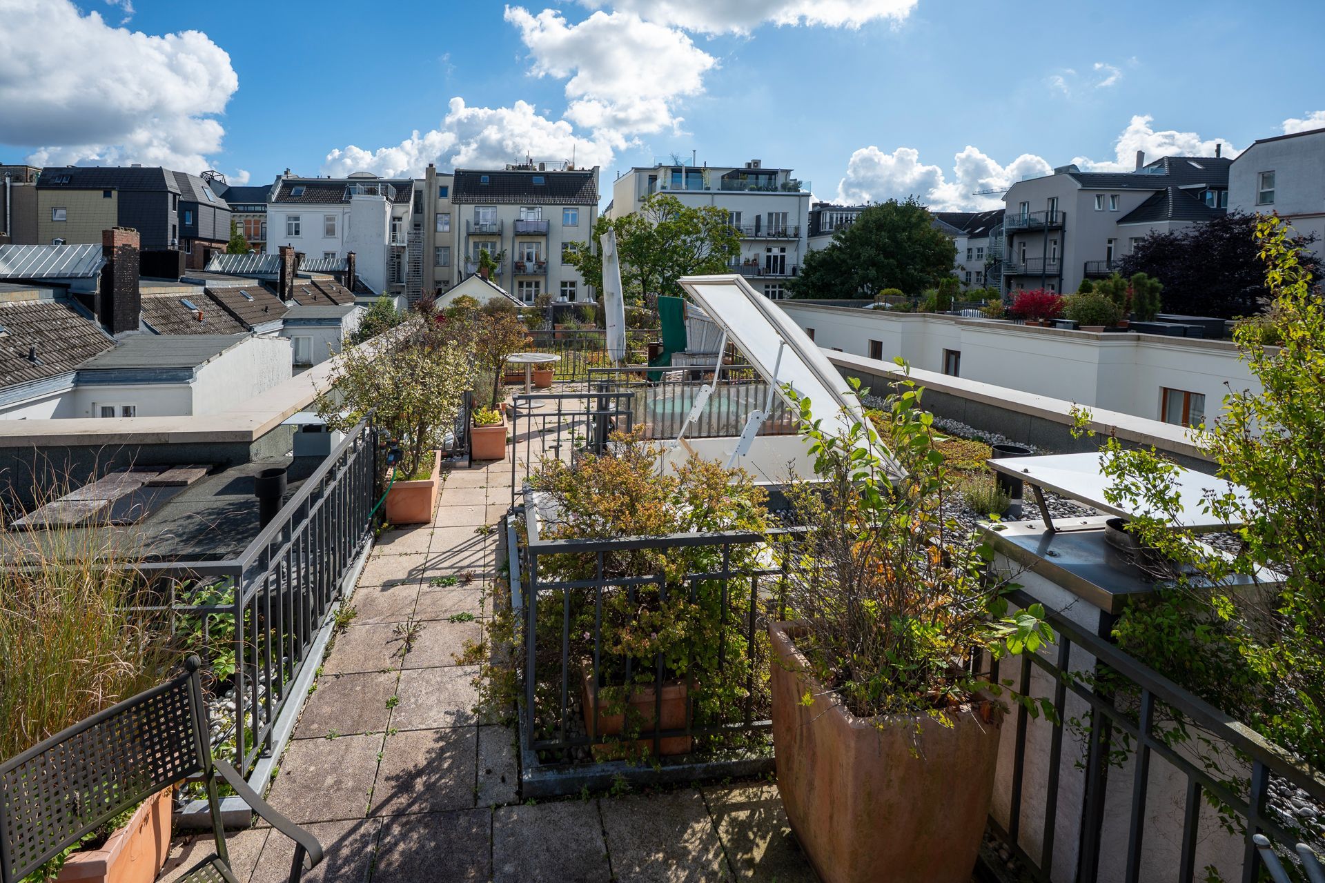 Dachgarten mit Topfpflanzen, Wegen und Blick auf die Gebäude an einem sonnigen Tag.