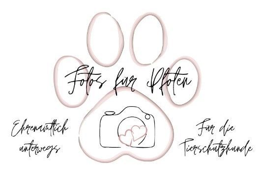 Logo: paw print with camera, hearts, text