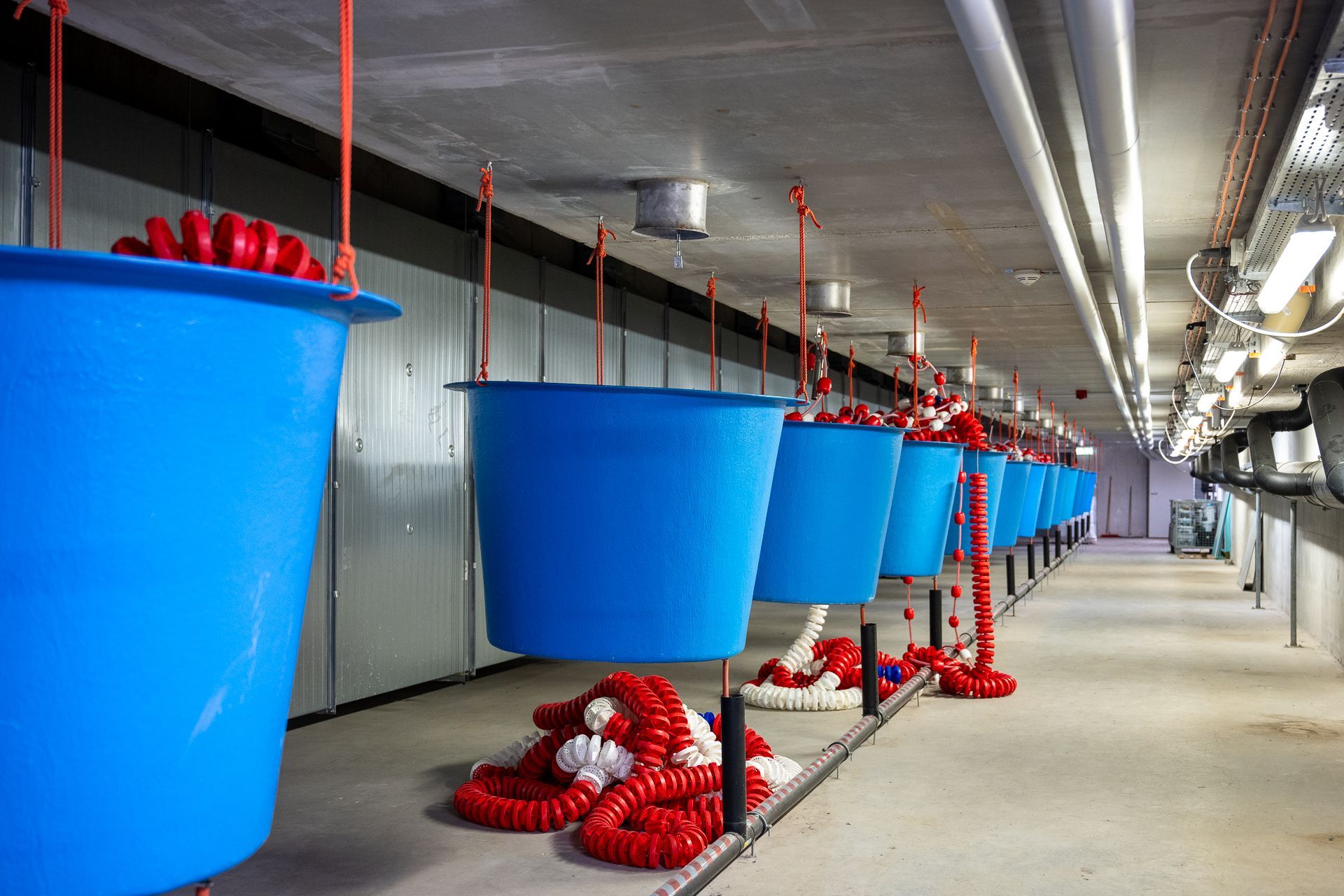 Blaue Eimer, gefüllt mit roten und weißen Schwimmkörpern, hingen von der Decke und waren in einem Betonkorridor aufgereiht.
