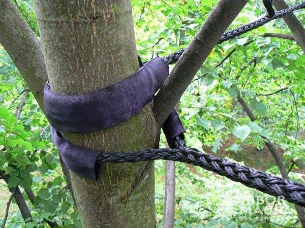 tree cabling in Nanaimo