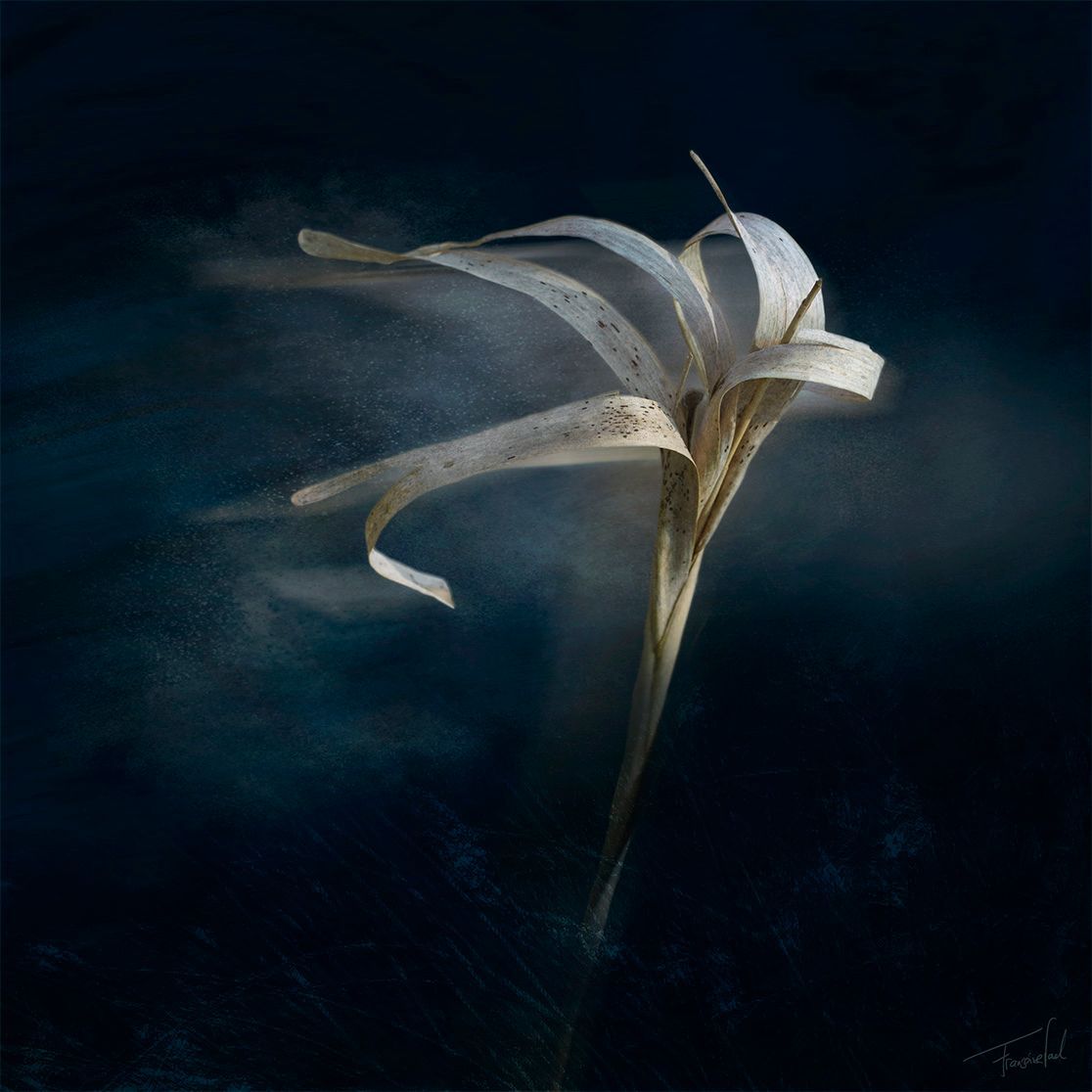 Foto van dansend riet door Françoise Vaal