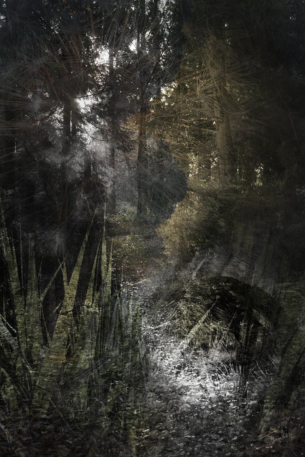 Tread Lightly, a mixed media digital collage landscape artwork of a forest, made by Françoise Vaal
