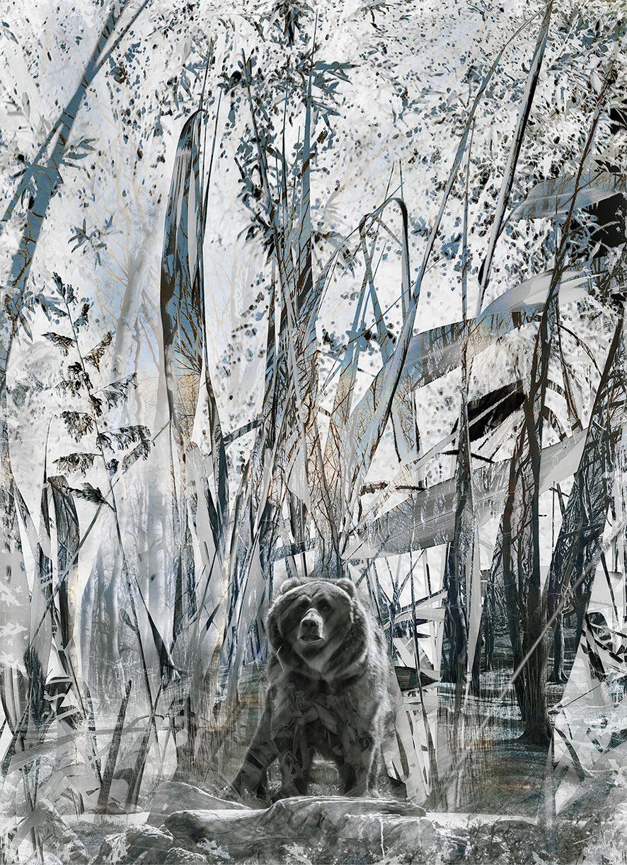 Roam free grizzly bear digital art