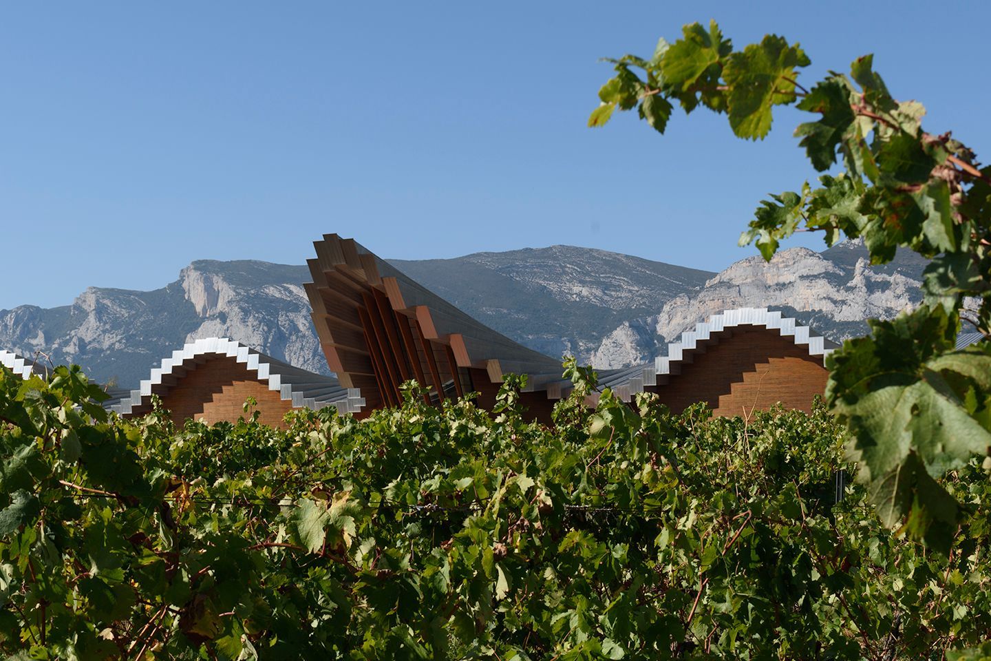 A vineyard in the Rioja region with an organic architectural building. Photo made by Françoise Vaal