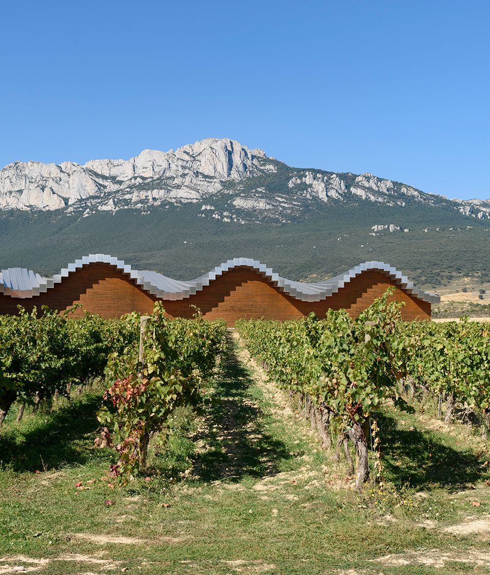 Photo of vineyard Bodegas Ysios in the Rioja area. Photo made by Françoise Vaal.

