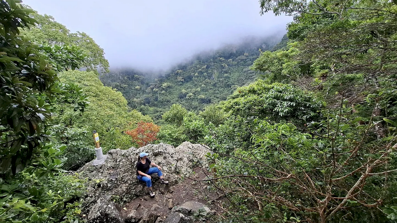 Photo of Françoise Vaal hiking a trail in The Quill on St. Eustatius.
