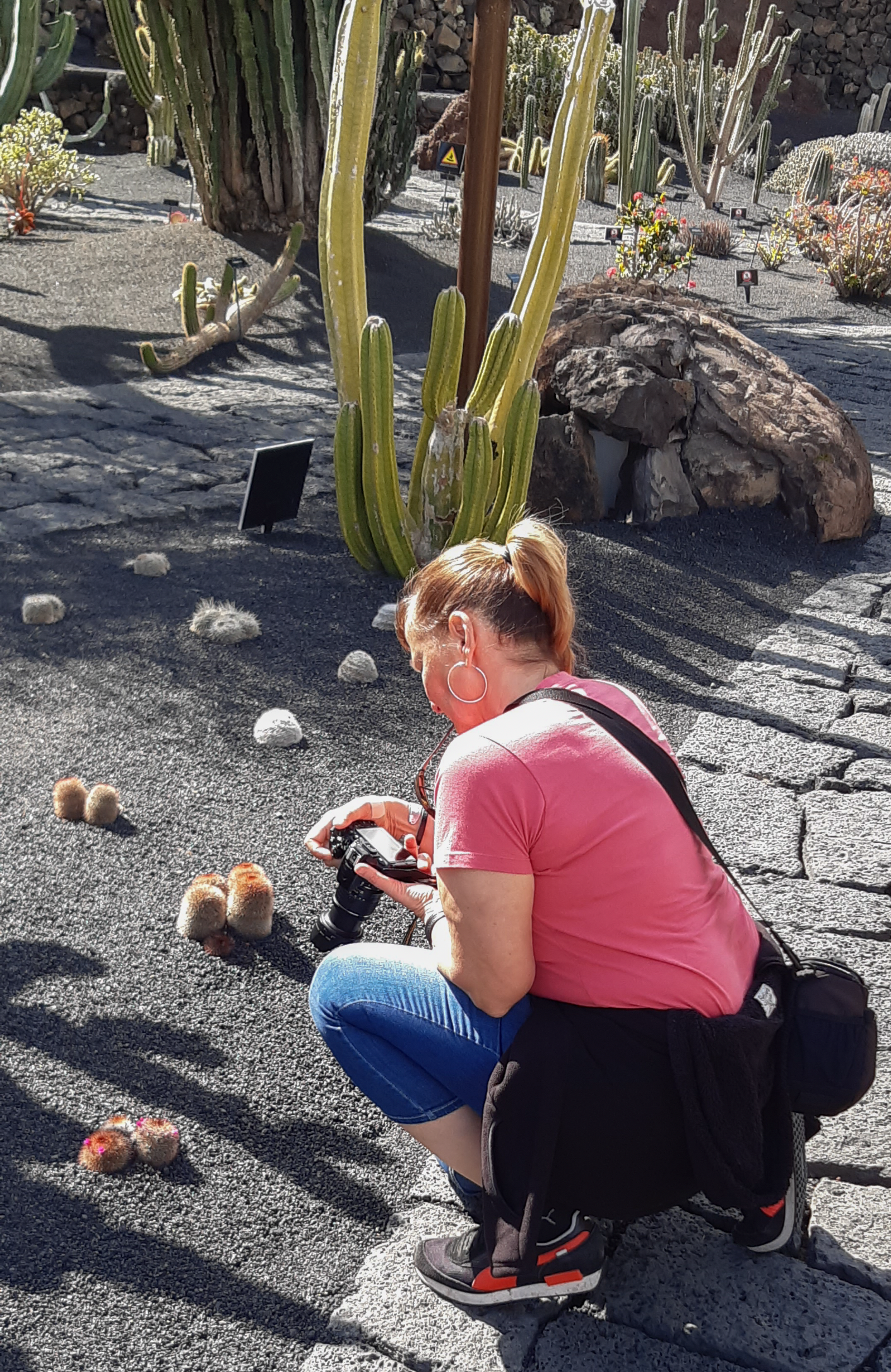 Françoise Vaal photographing tiny prickly cacti for het macro series