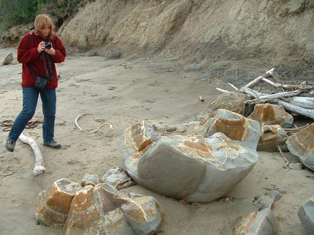 Photo of Françoise Vaal photographing the rugged wonder of nature, the Moeraki boulders in New Zealand
