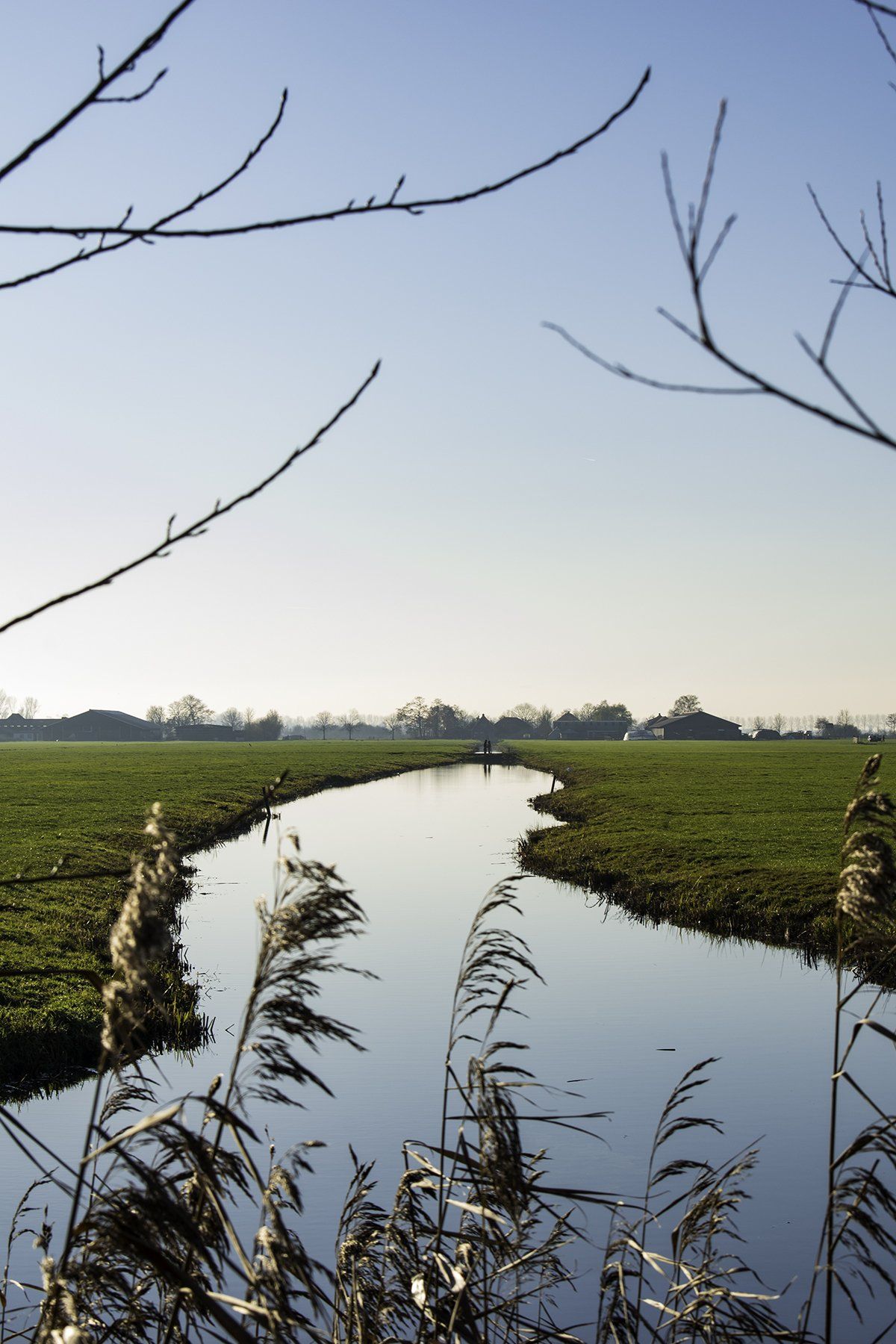 Foto van sloot in natuurgebied Bosdijk door Françoise Vaal