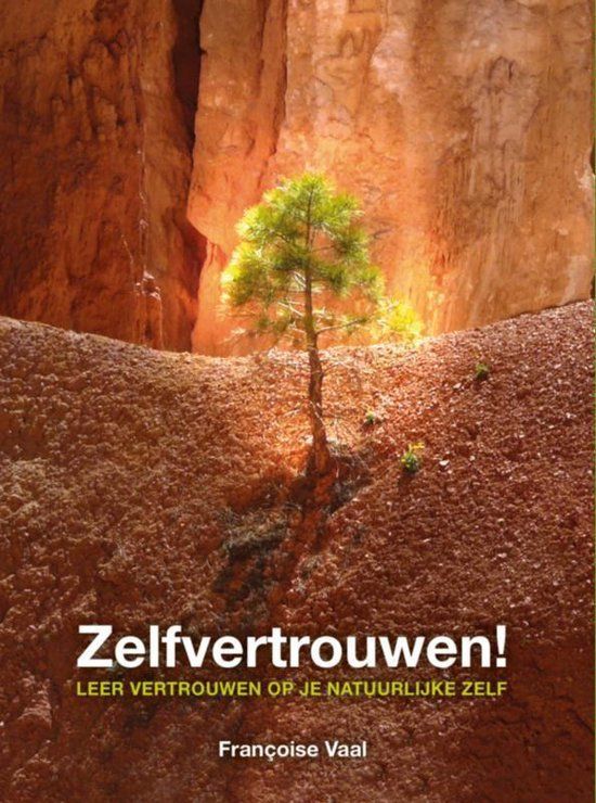cover e-book Zelfvertrouwen door Françoise Vaal