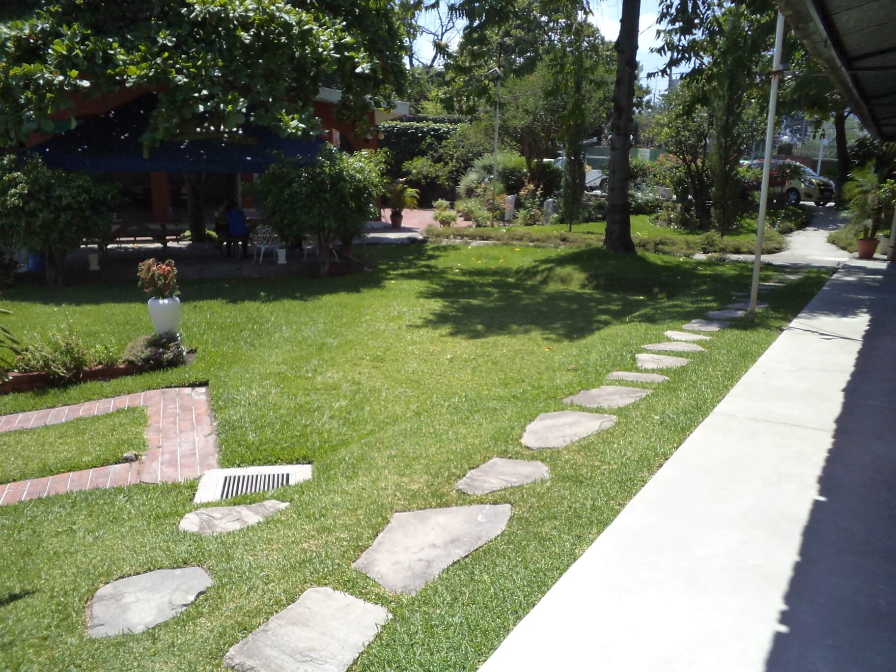 Césped soleado en un parque con un sendero de piedra junto a un camino pavimentado y árboles.