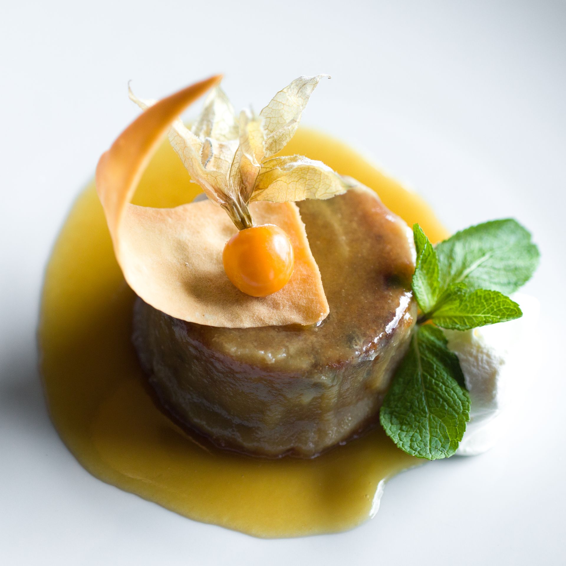 Gourmet dish with a cylindrical meat or vegetable base, yellow sauce, decorative chip, physalis, and mint sprig.