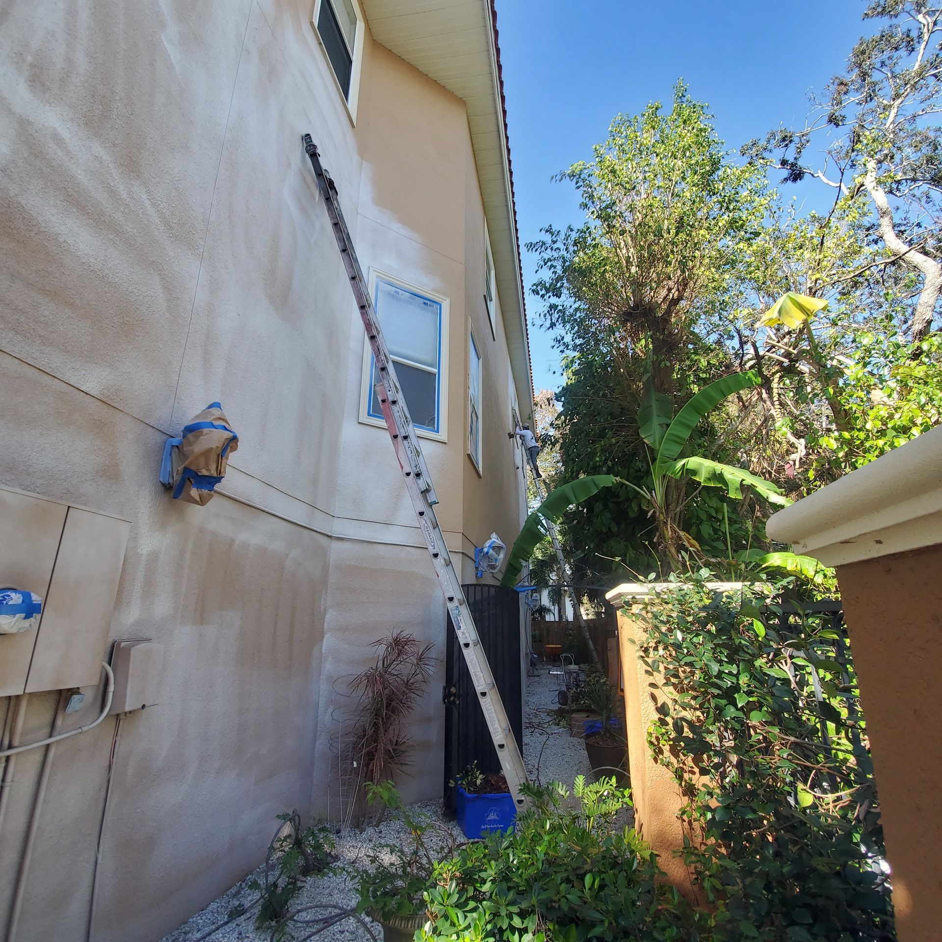 Side of a house being painted cream with a ladder and blue paint bucket below a window