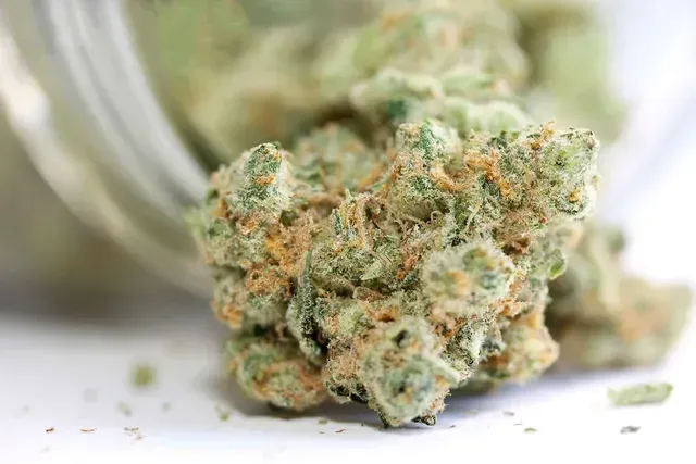 cannabis categories