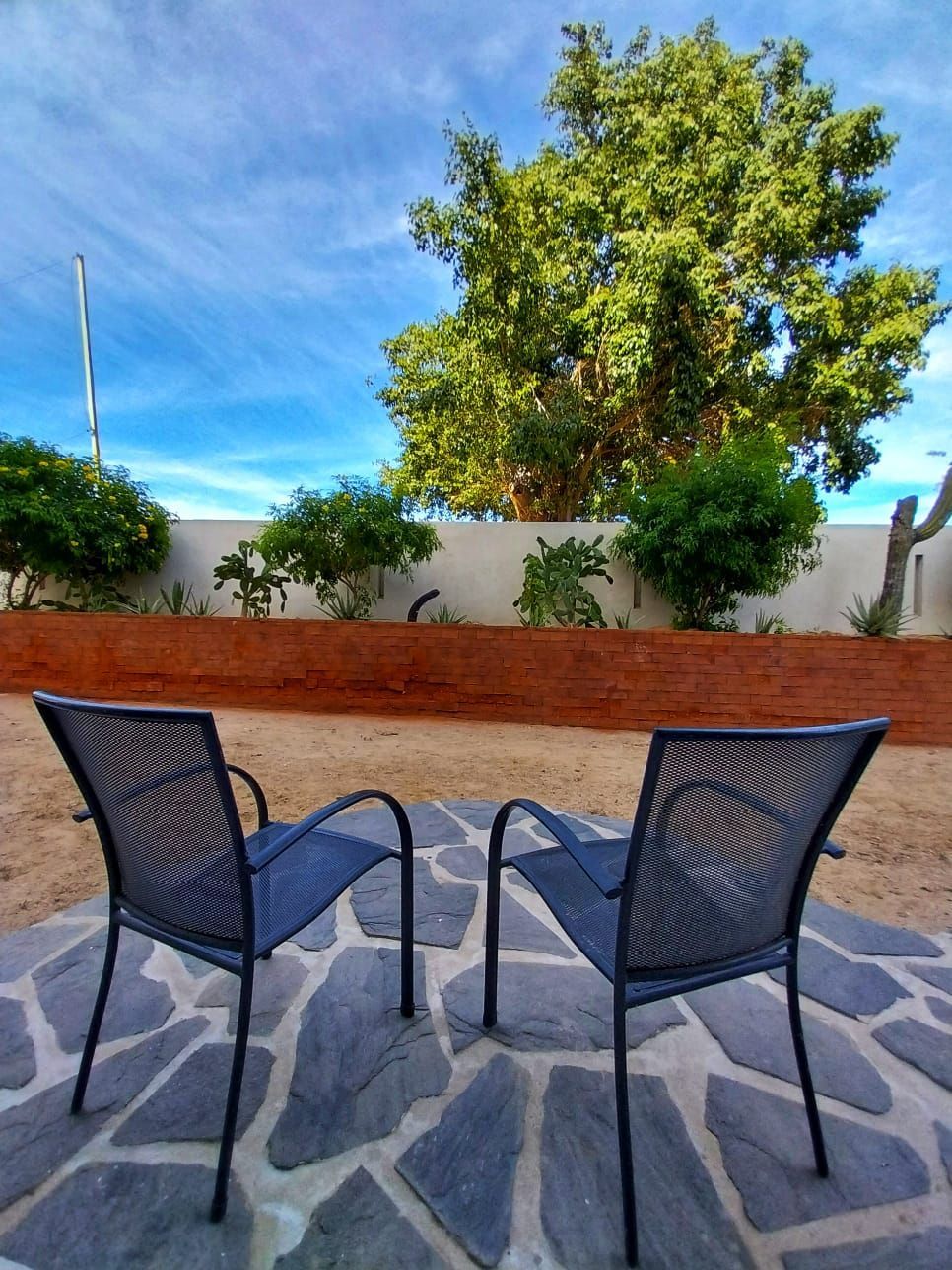 Two chairs are sitting on a stone patio with a tree in the background.
