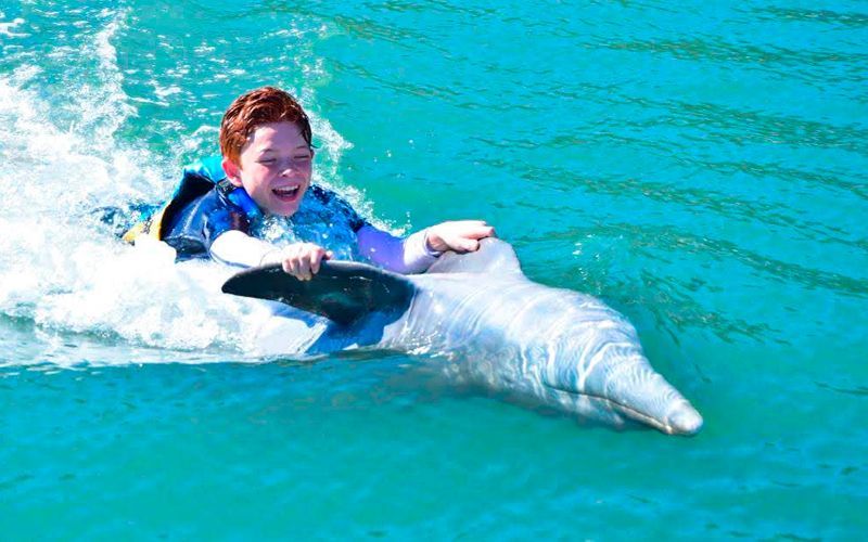 A young boy is riding a dolphin in the ocean.