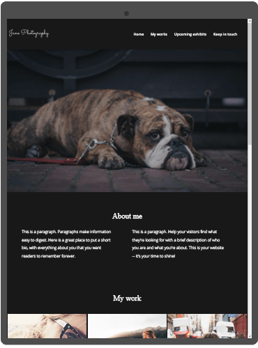 Website for a Photographer's Portfolio
