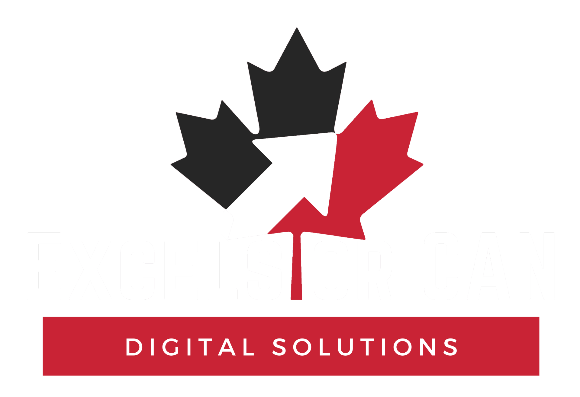 Excelsior Digital Solutions LOGO