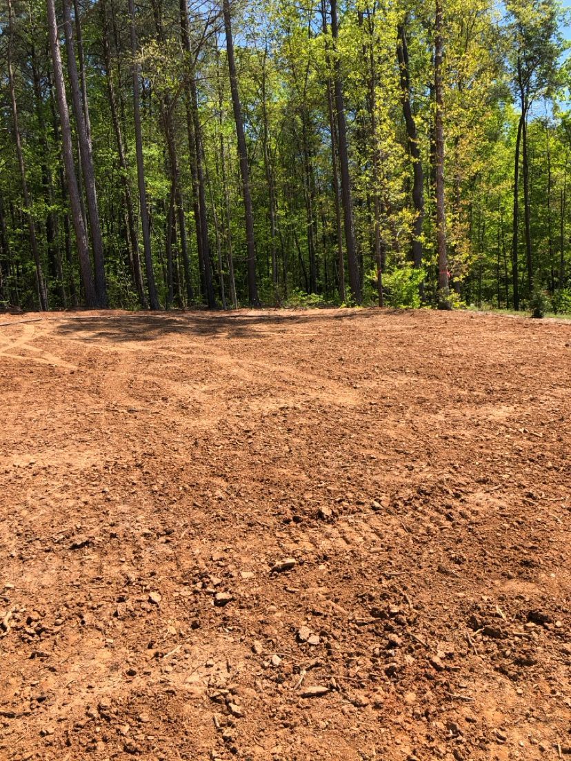 Freshly cleared dirt lot bordered by tall green trees under a sunny blue sky