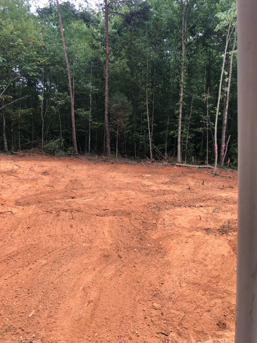 Cleared reddish dirt lot beside a dense green forest, with a vertical post at the right edge.