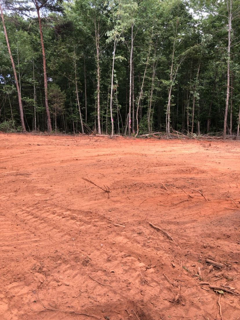 Cleared reddish dirt lot bordered by tall green trees under an overcast sky