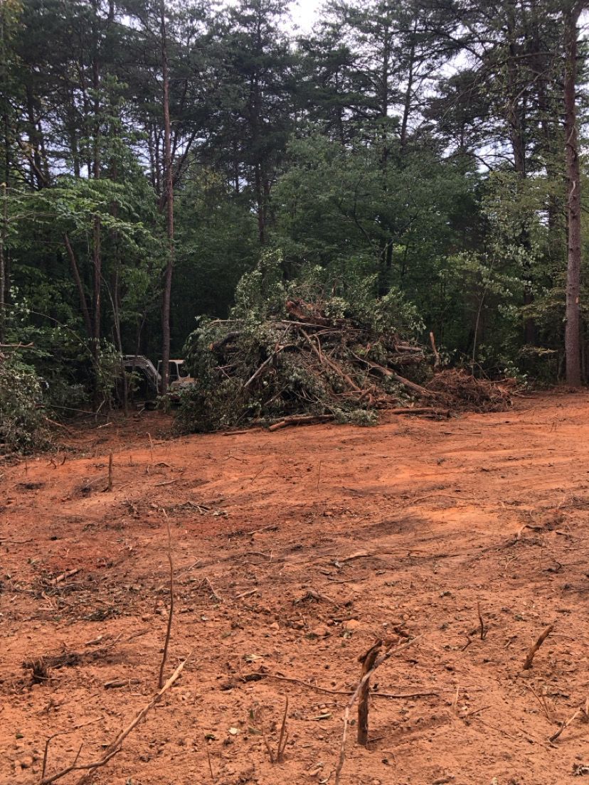 Cleared red dirt area with brush piles in front of a dense pine forest