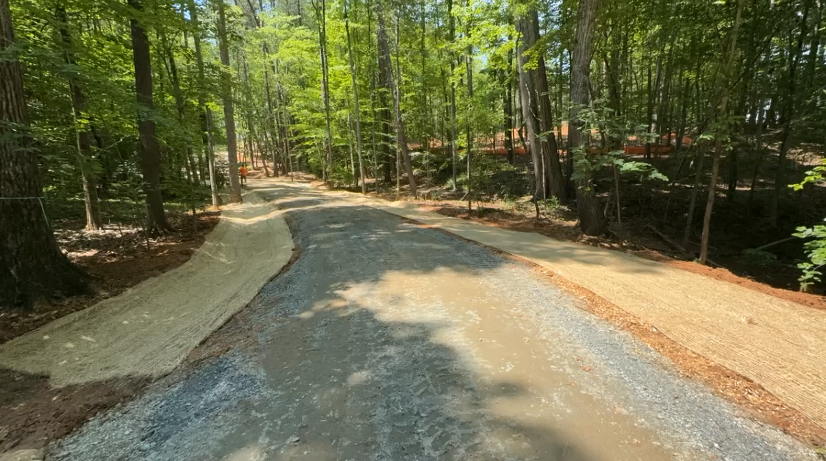 Gravel road curving through a wooded forest with sunlight and shadows