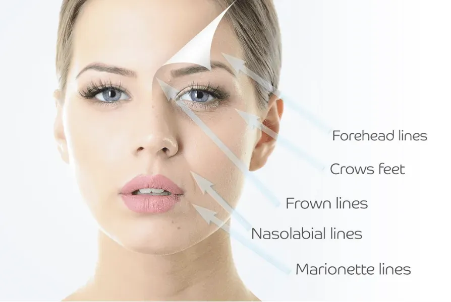 Facial Aesthetics