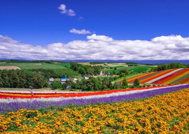 Retreatful Hokkaido Travel