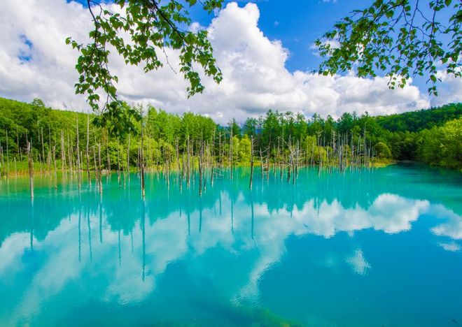 Retreatful Hokkaido Travel