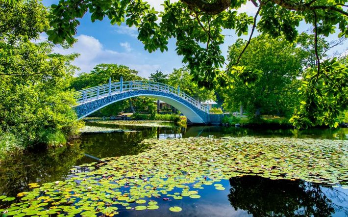 Retreatful Hokkaido Travel