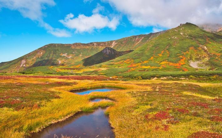Retreatful Hokkaido Travel