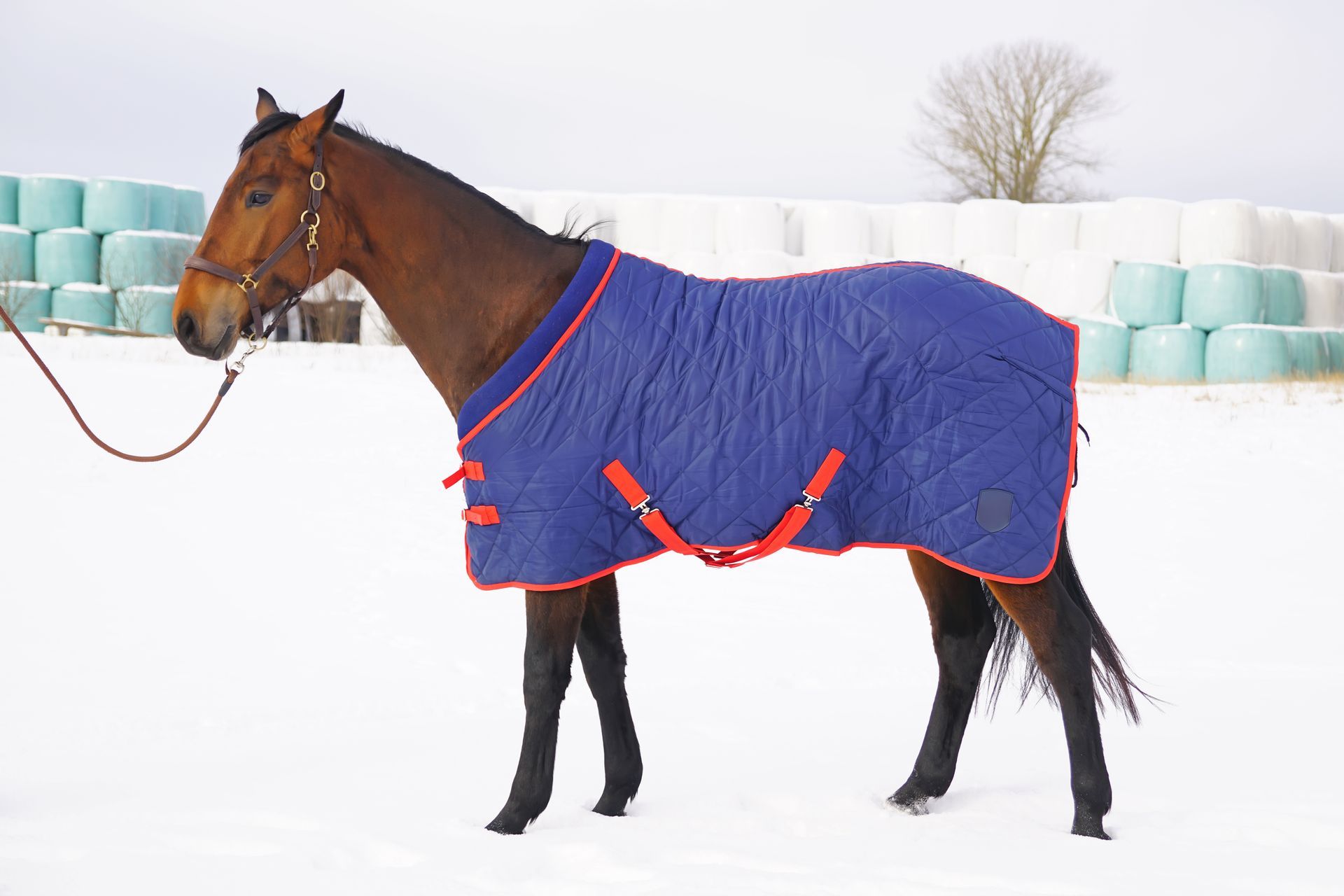 Winterdecke ab 150g